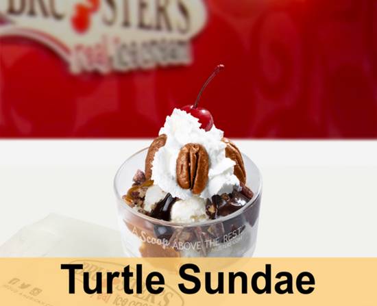 Turtle Sundae