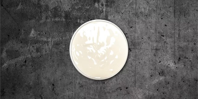 Sour Cream
