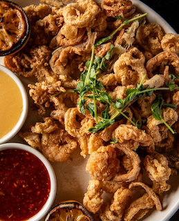 Fried Calamri and Shrimp