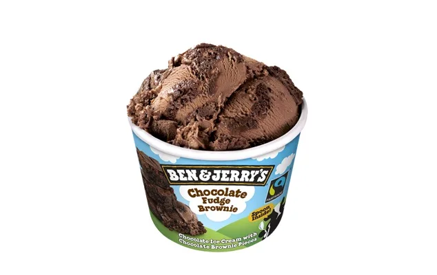 Ben and Jerry's Chocolate Fudge Brownie 100 ml