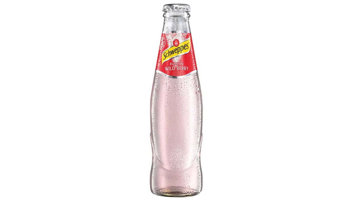 Schweppes Wild Berry 0,2 l