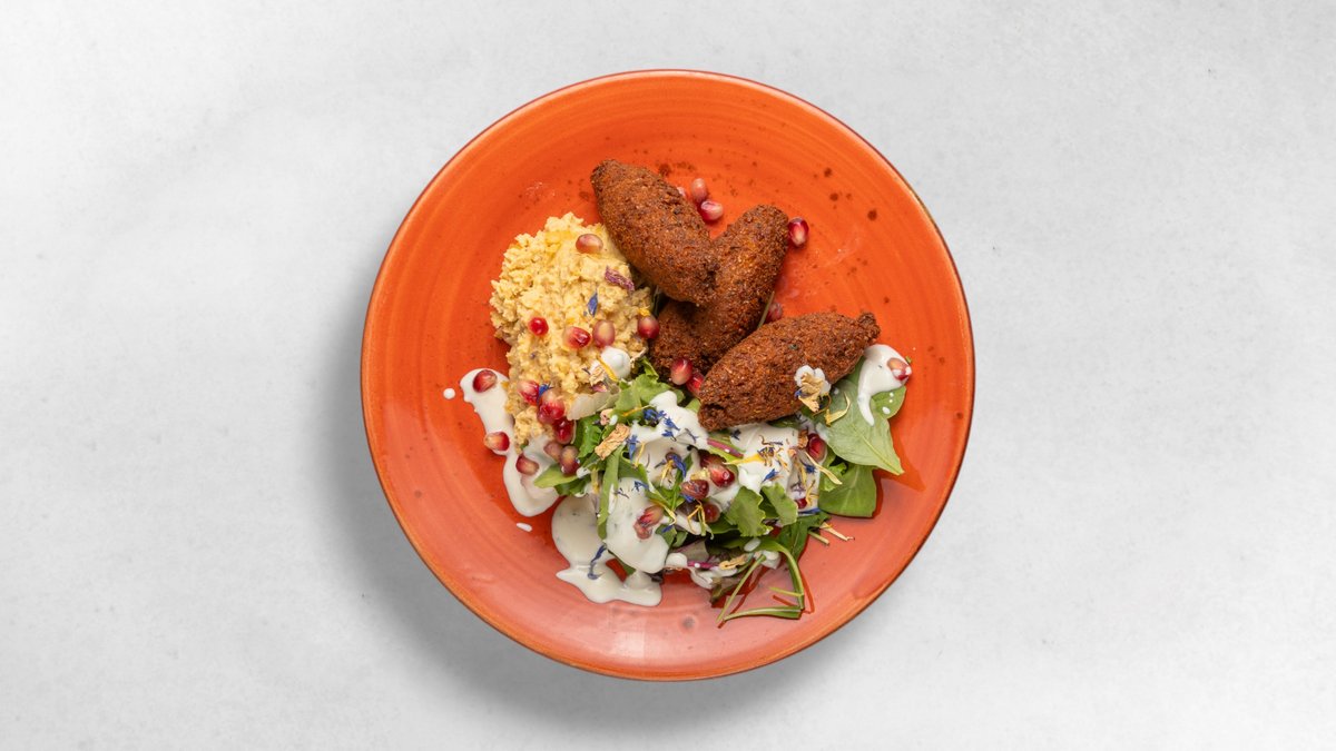 Hausgemachte Falafel und Hummus