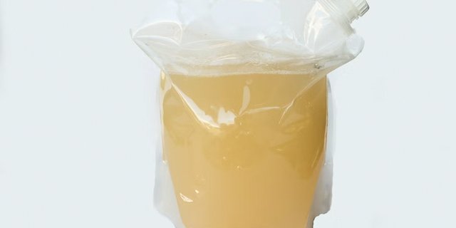 Gallon of Lemonade