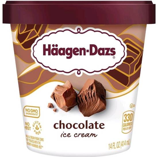 Häagen-Dazs Chocolate Ice Cream (14 ounce)