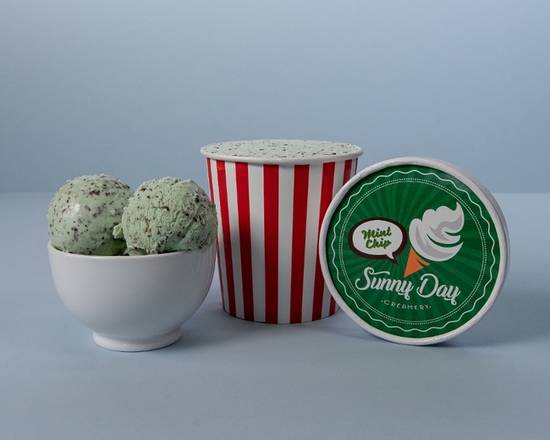 Mint Chocolate Chip Ice Cream (Pint)