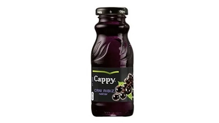 Cappy crni ribiz 0,2 l