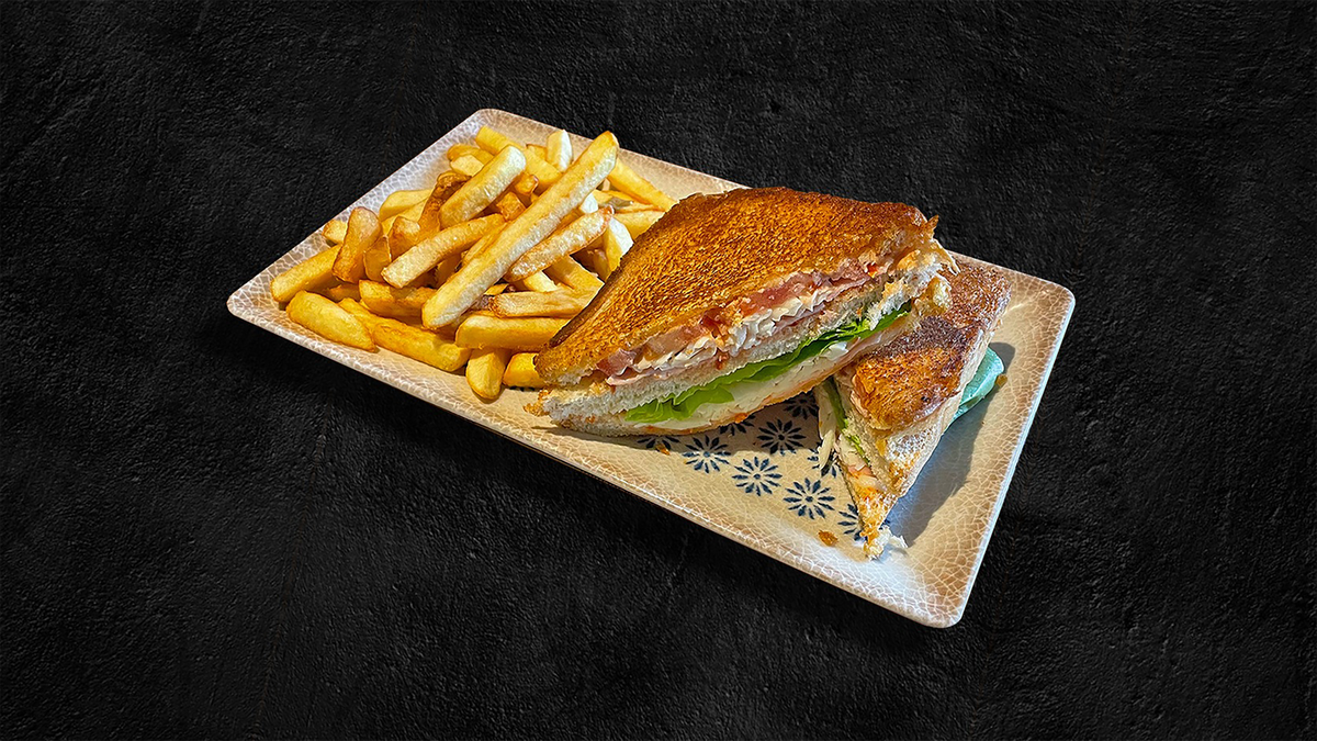 Tost sendivić