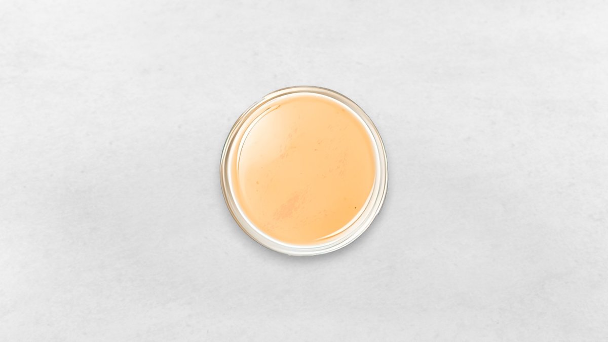 Spicy Mayo Sauce
