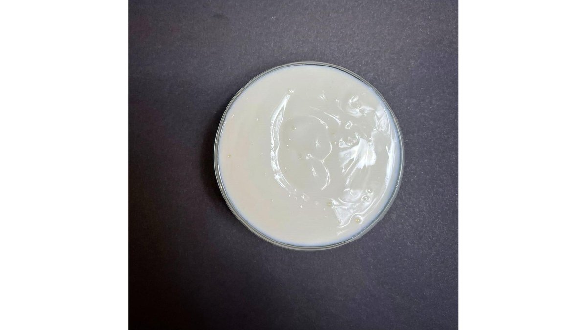Salsa Sour cream