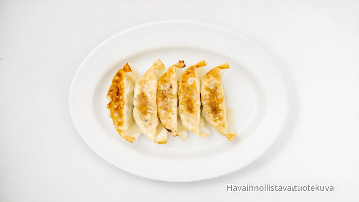 Paistettu lihanyytti / Pan-fried pork dumplings
