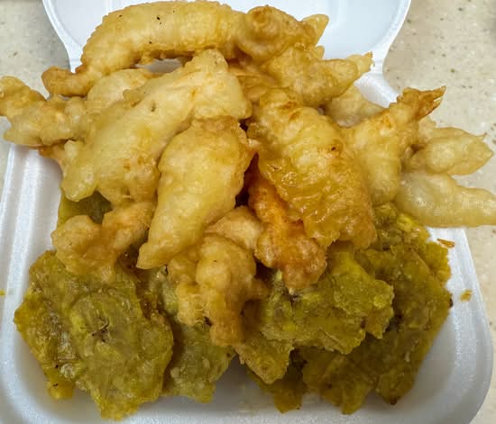 Masita de Pollo