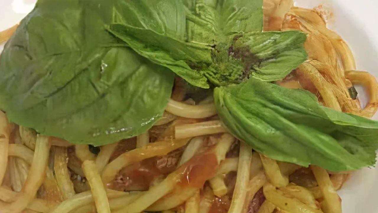 Bucatini All Amatriciana