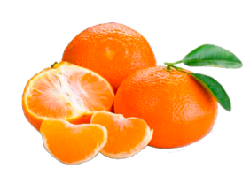 Suco Tangerina (500ml)