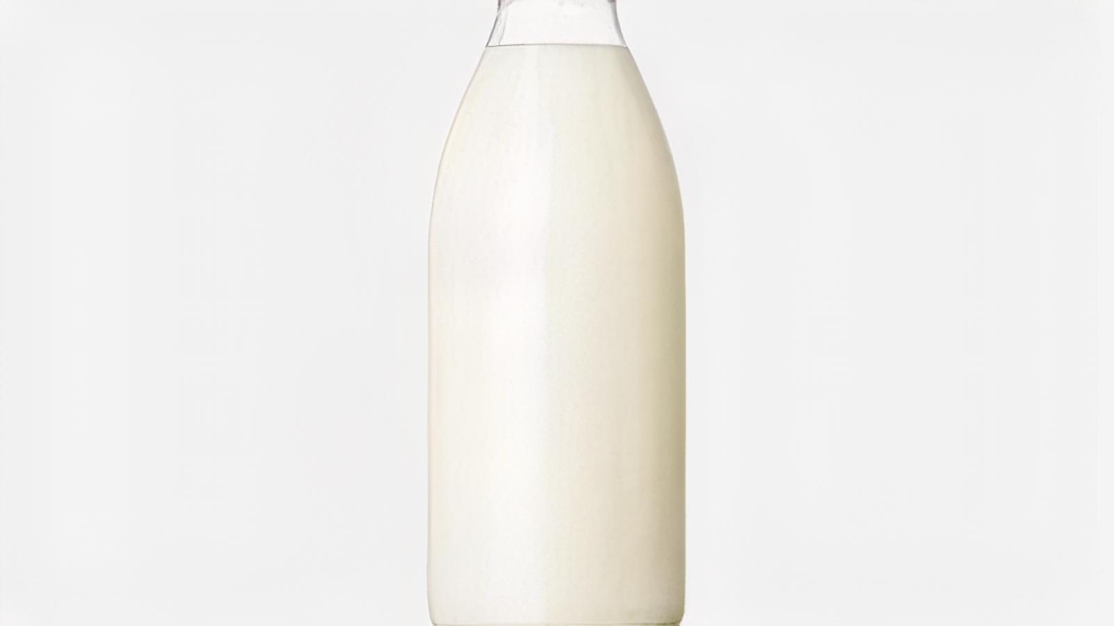 Lait / Milk