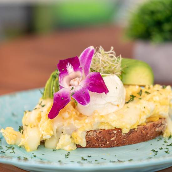 Egg and avocado toast