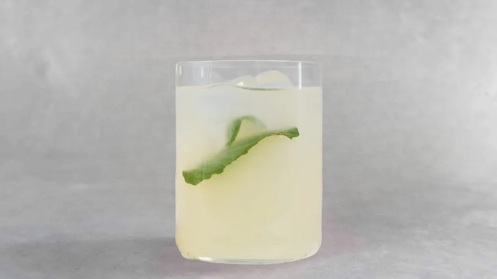 Lemonade with Crushed Ice
