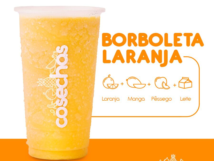 Borboleta Laranja