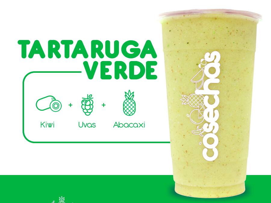 Tartaruga Verde