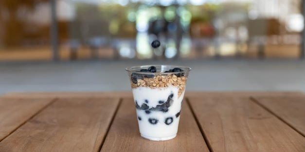 Individual Fresh Fruit, Granola and Yogurt Parfait w/ Blueberries