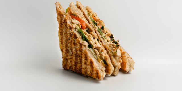 Baja Panini