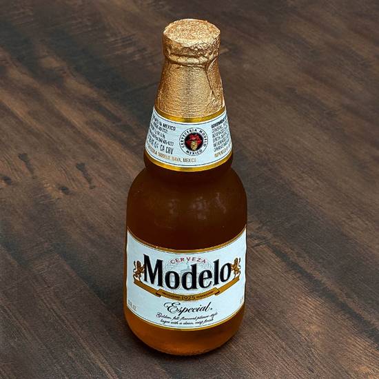 MODELO