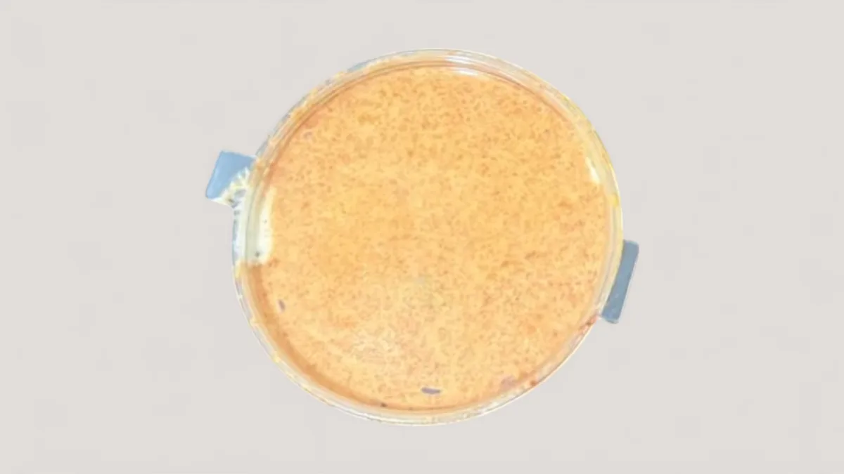 Burger Sauce