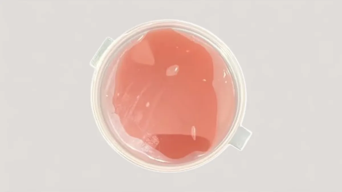 Ketchup Sauce