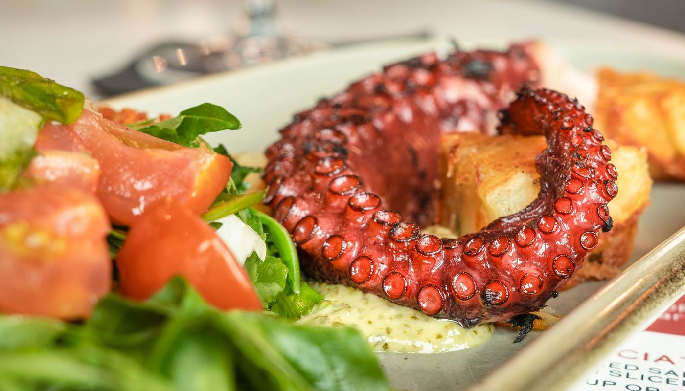 Grilled Octopus