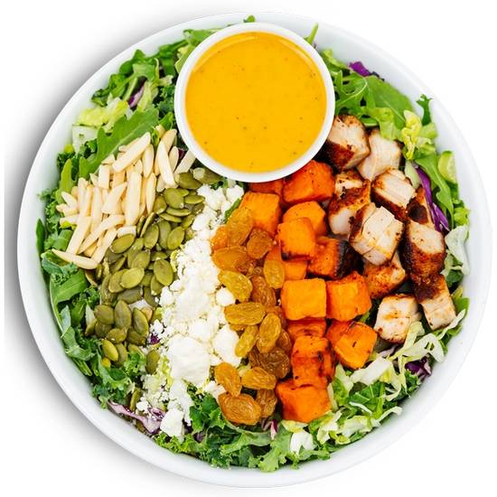 NEW! HARVEST SALAD