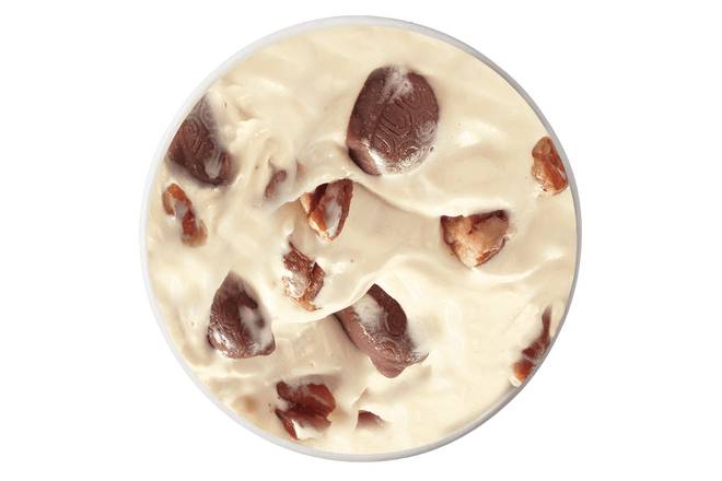 TURTLES with Pecans BLIZZARD Treat