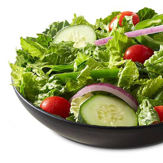 Entree Garden Salad
