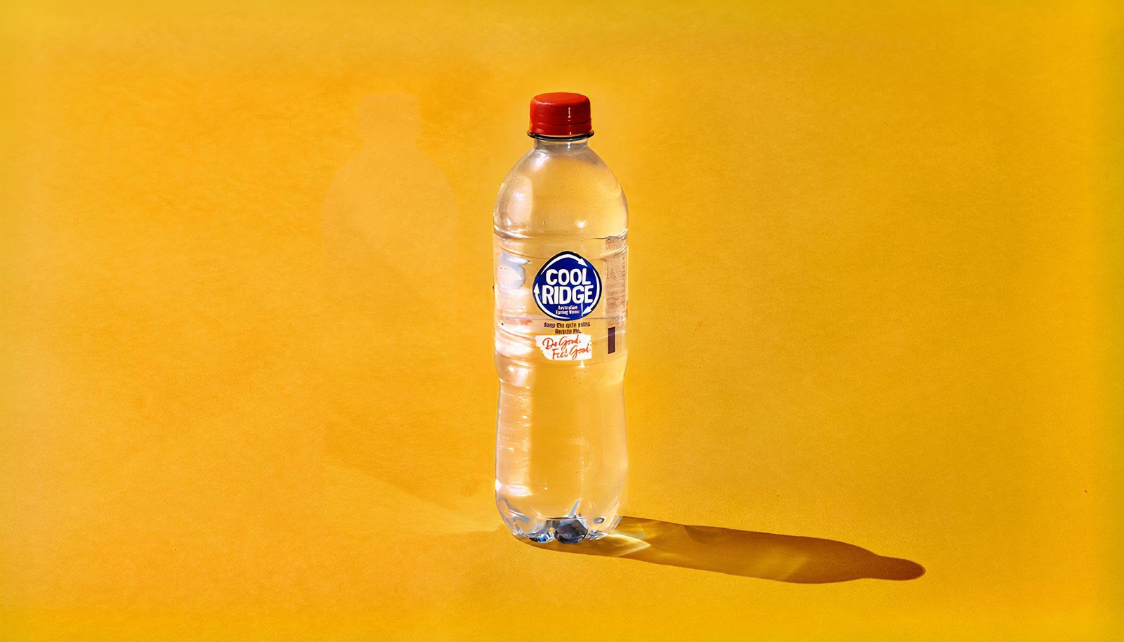 Cool Ridge Water 600mL