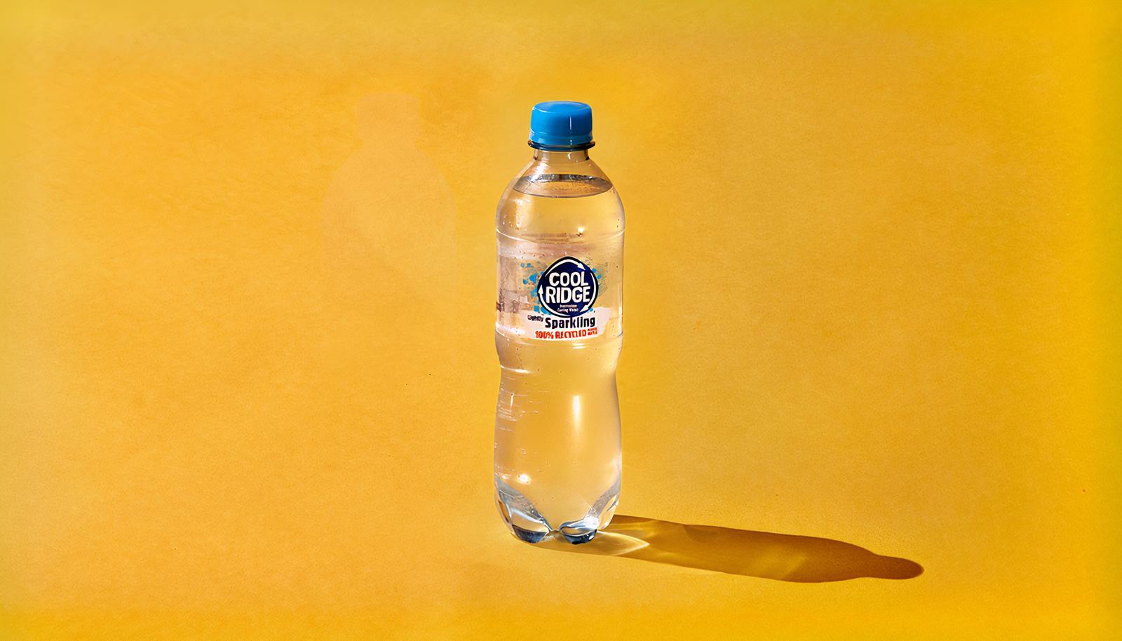 Sparkling Mineral Water 500mL