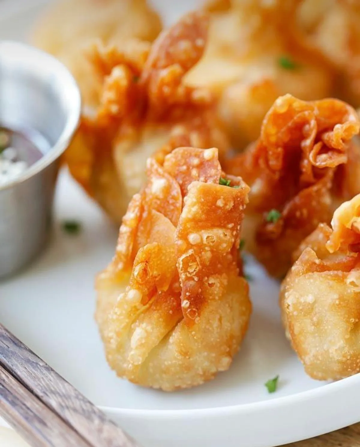 Fried vegan Dumpling