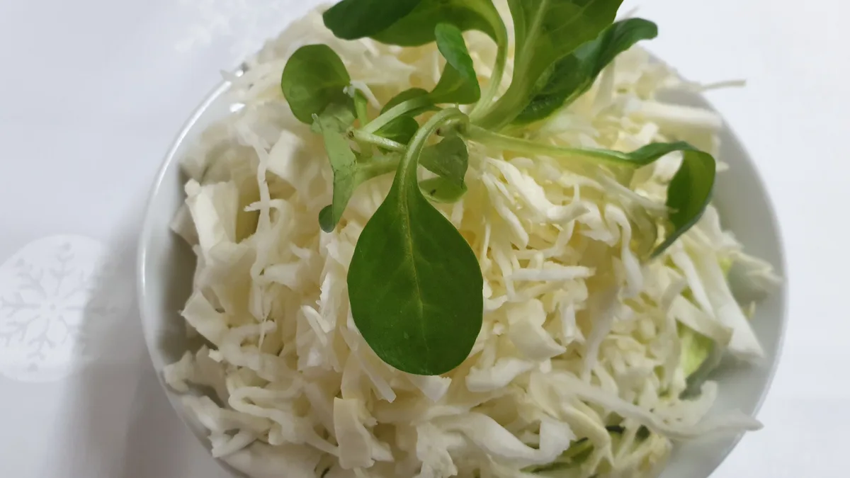 Kupus salata