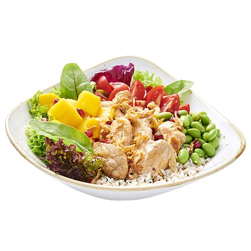 Crunchy Chicken Bowl