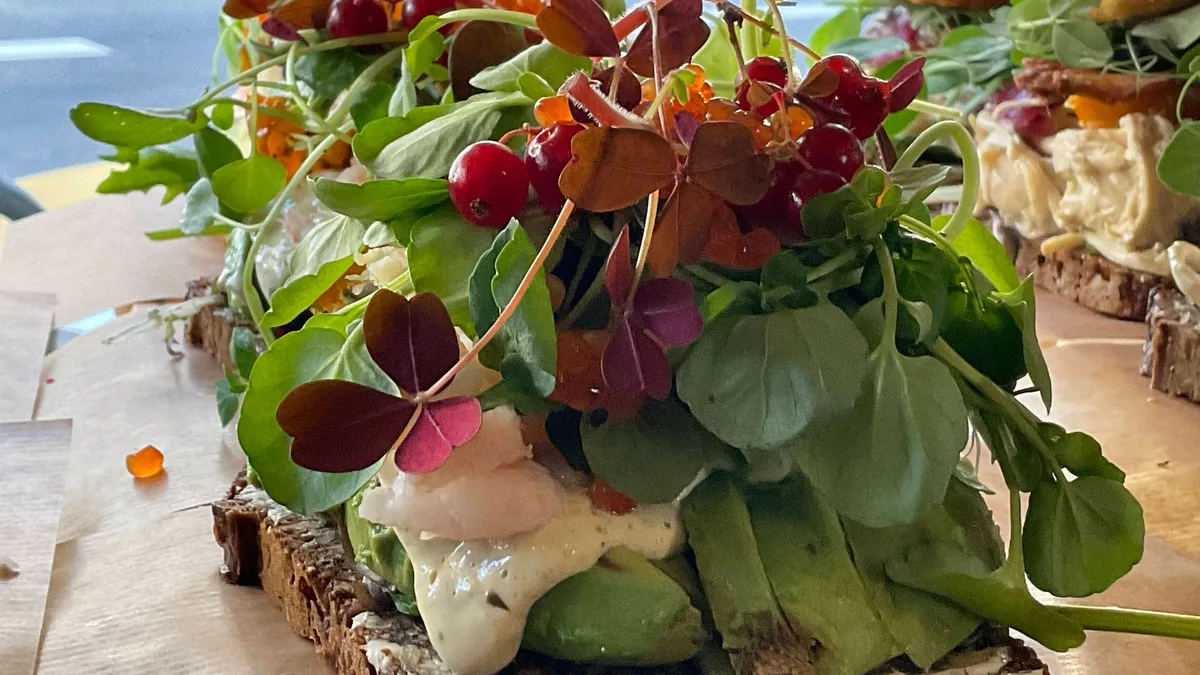 Avocado (Højtblagt)