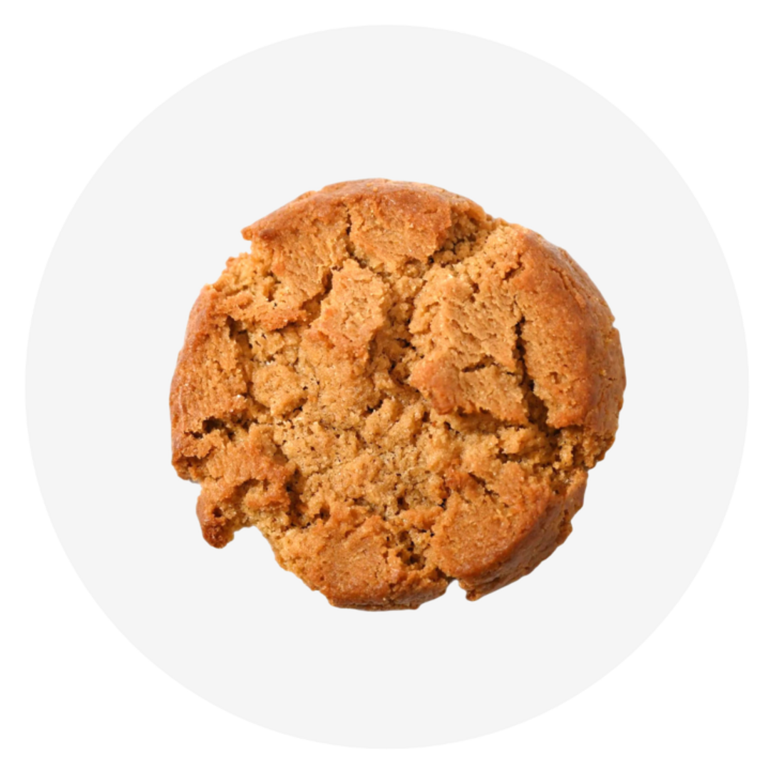 Peanut Butter Cookie