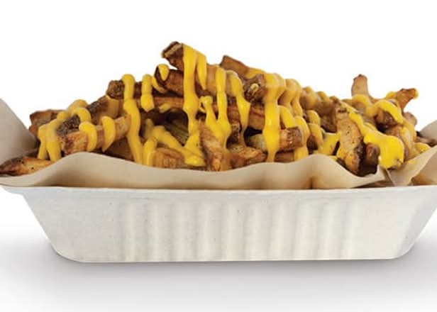 Cheese Fries