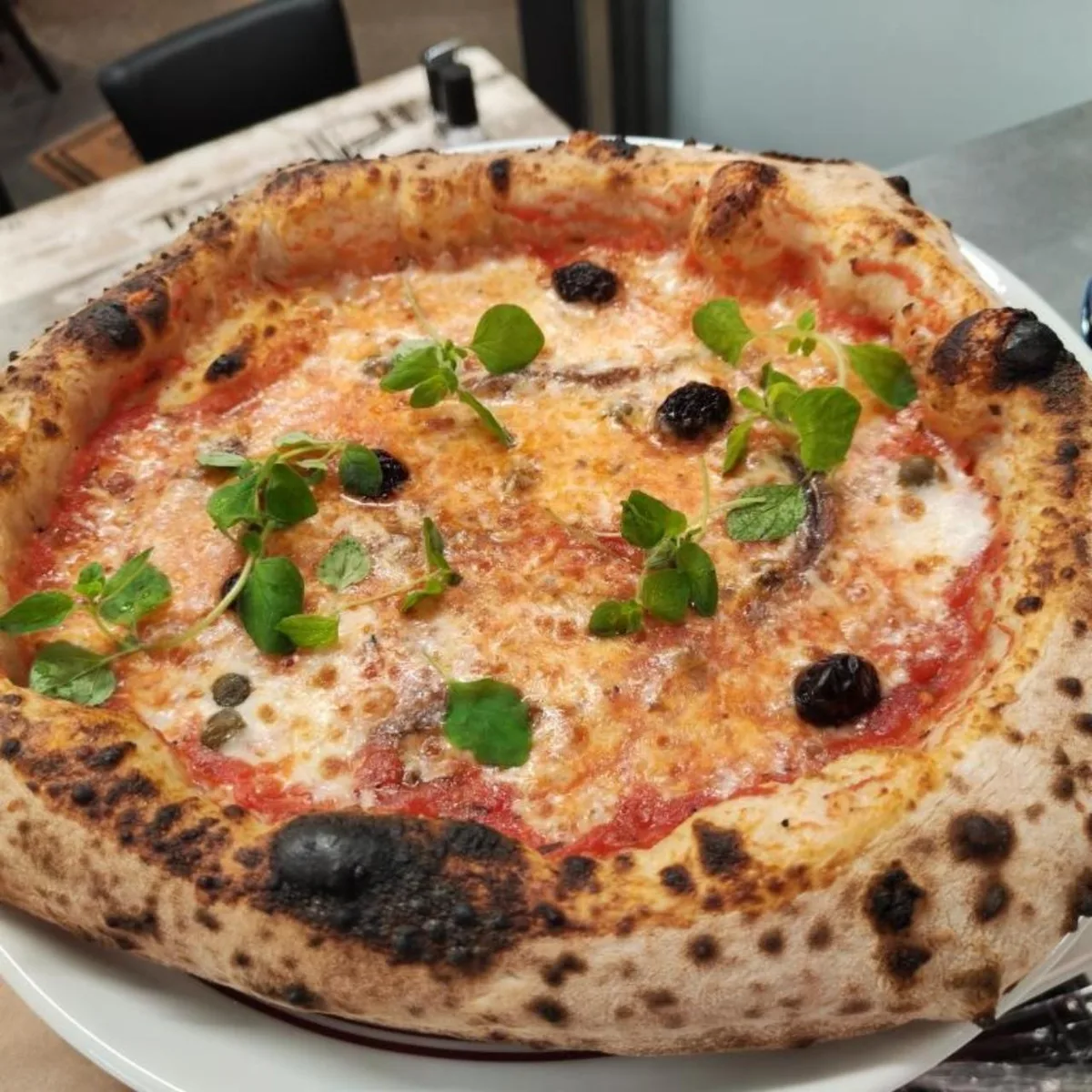 napolitana