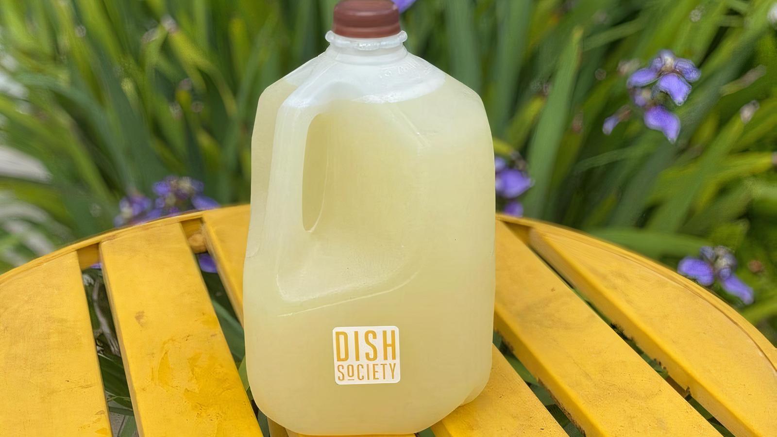Lemonade Gallon