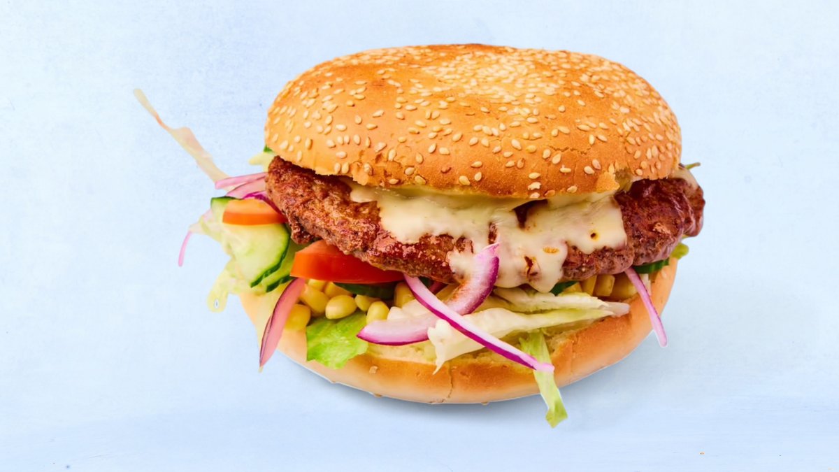 Hamburger 250g