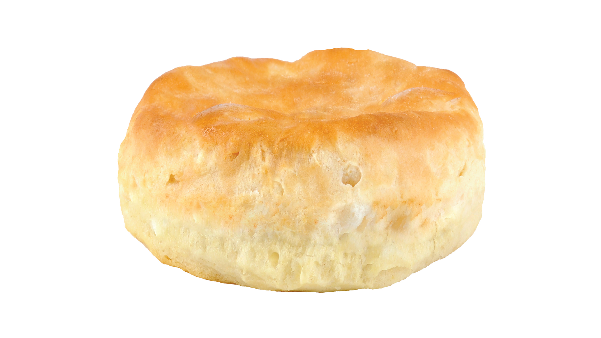 Biscuit