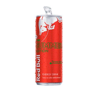 Red Bull Summer Watermelon
