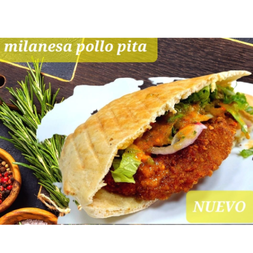 Combo Schnitzel en Pita