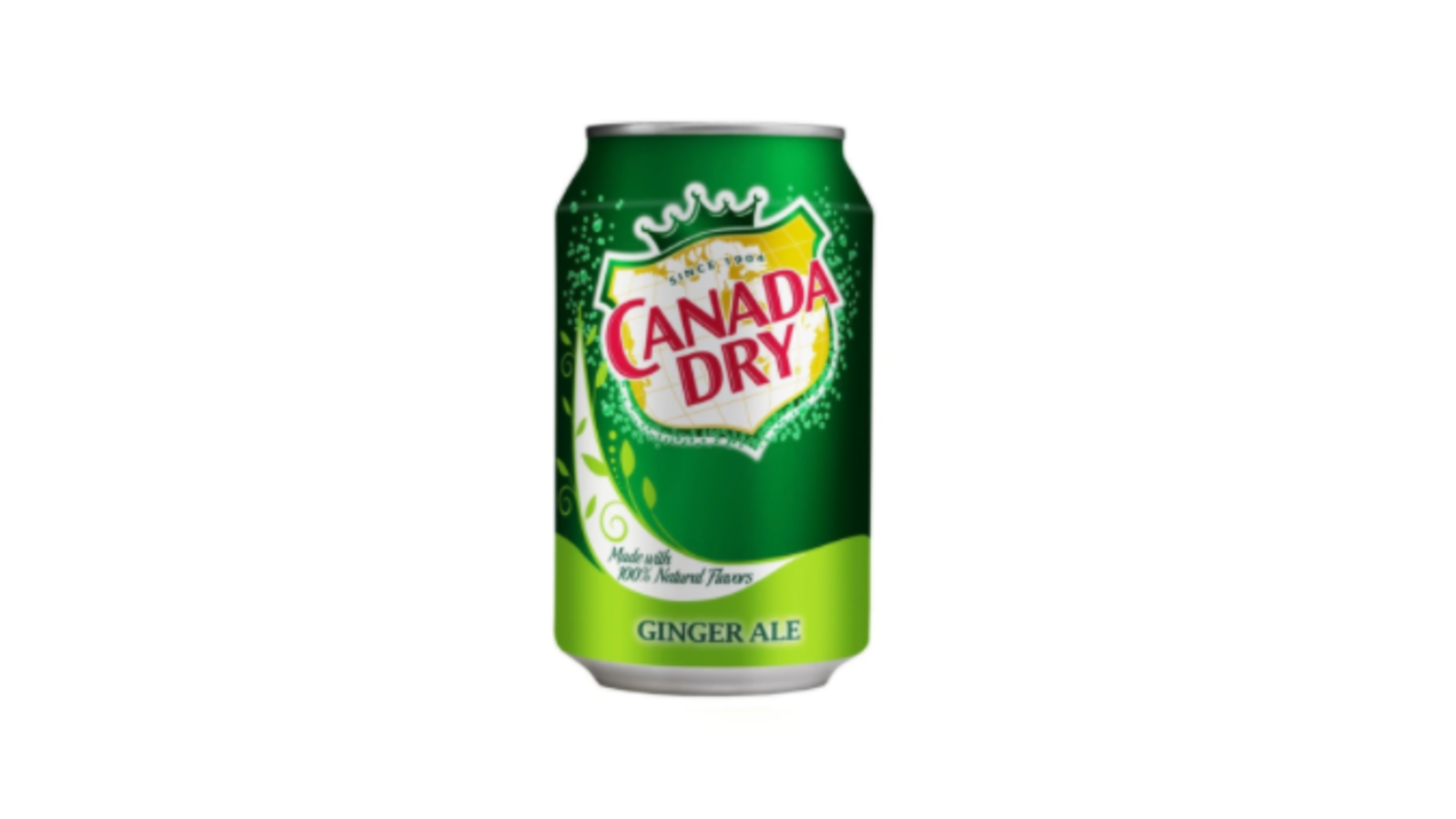 Canada Dry (500 ml.)