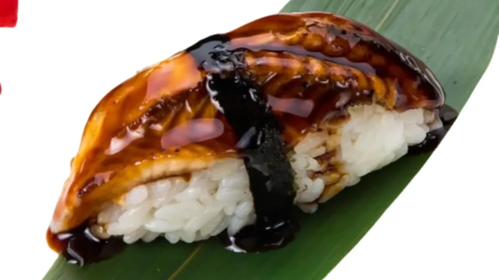 Nigiri úhoř