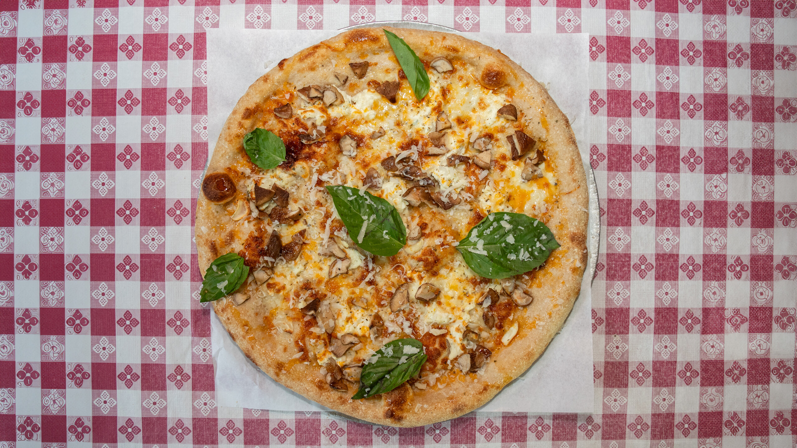 16" Bianca Funghi