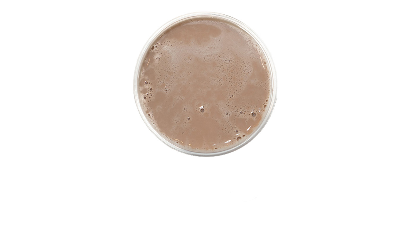 Chocolate Milk
