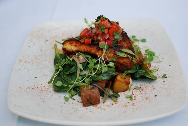 Black Grouper
